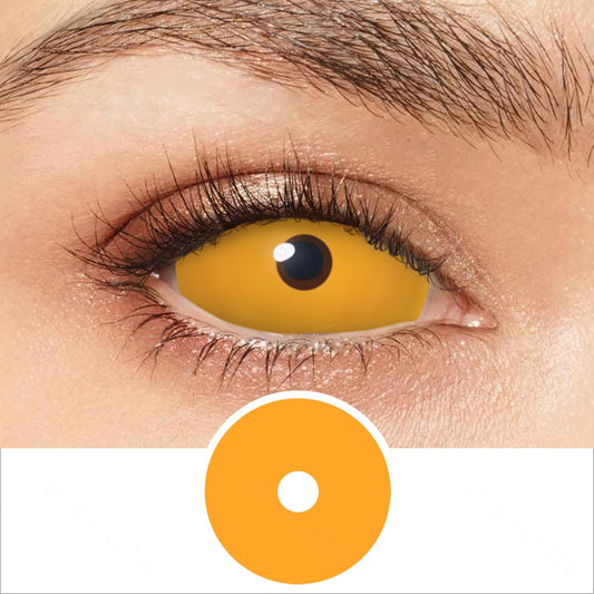 Orange Sclera Contacts